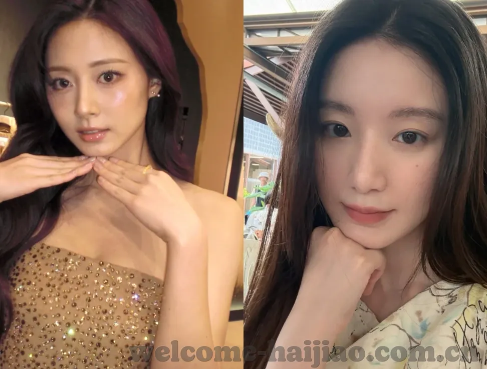 大象传媒下载汅api下载-探索大象传媒与汅API下载，数字时代的文化传播新视角