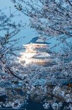 横恋动漫中文字幕在线-横恋动漫，中文字幕下的情感之旅