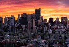 免费的麻豆视频-免费麻豆视频的诱惑与反思