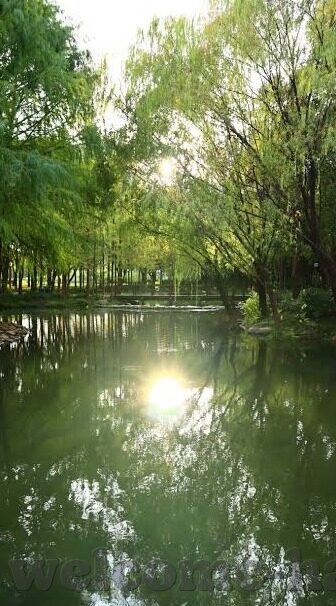破苞av日韩下载-探索成人娱乐的灰色地带，破苞AV日韩下载的背后