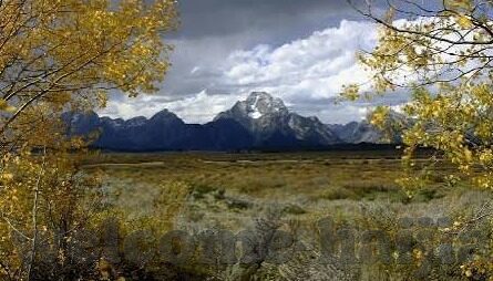 糖心app兑换码2021-糖心App兑换码2021，解锁精彩内容的密钥