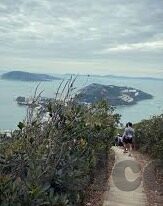 糖心app软件下载ios-探索糖心app的iOS下载之旅，解锁优质社交的新方式