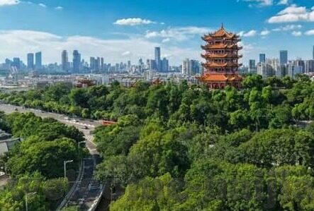 糖心黄台app软件下载-被禁止传播的真相，维护网络健康与安全的必要性