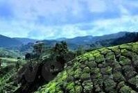 亚洲成人一区二区三区-探索亚洲成人一区二区三区的多元文化与地域特色